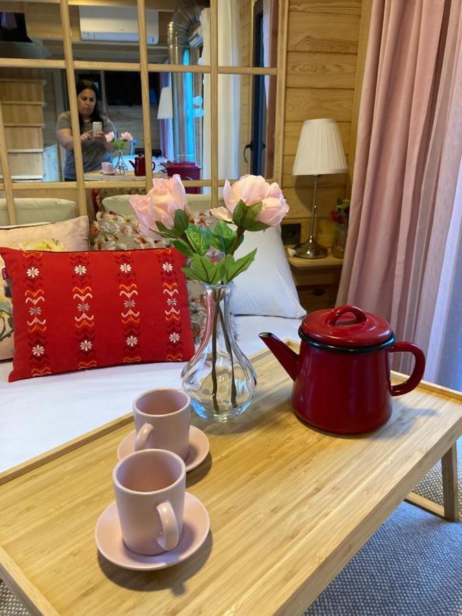 Vagona Tiny House Ξενοδοχείο Ριζούντα Εξωτερικό φωτογραφία