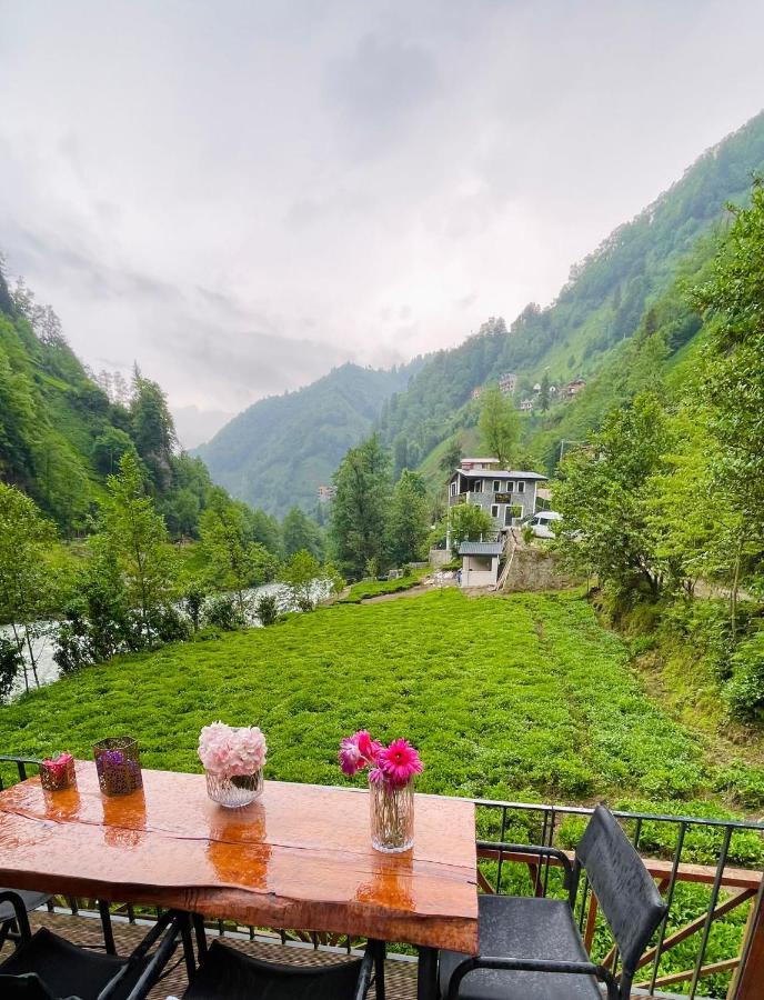 Vagona Tiny House Ξενοδοχείο Ριζούντα Εξωτερικό φωτογραφία